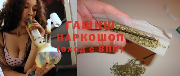 хмурый Магас