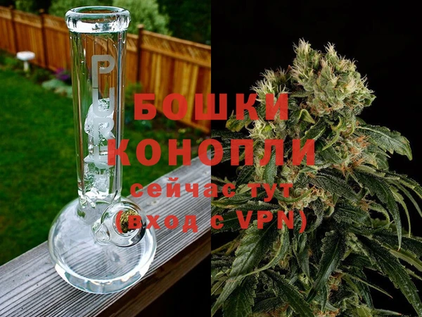 PSILOCYBIN Медногорск