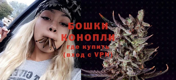 PSILOCYBIN Мегион