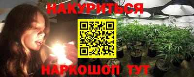 сатива Волгодонск