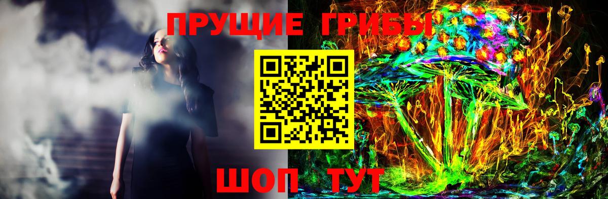 Новоалтайск  Псилоцибиновые грибы прущие грибы  сколько стоит  Вход с VPN 