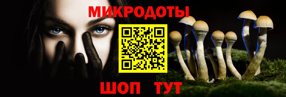 Псилоцибиновые грибы Psilocybine cubensis Новоалтайск